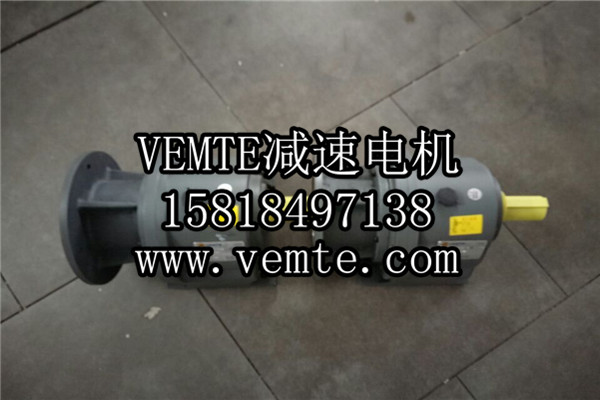 立式齒輪減速機，臥式齒輪減速機,齒輪減速電機,齒輪減速馬達 (1)