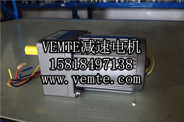 小電機，小型調速電機,微型減速電機 (2)